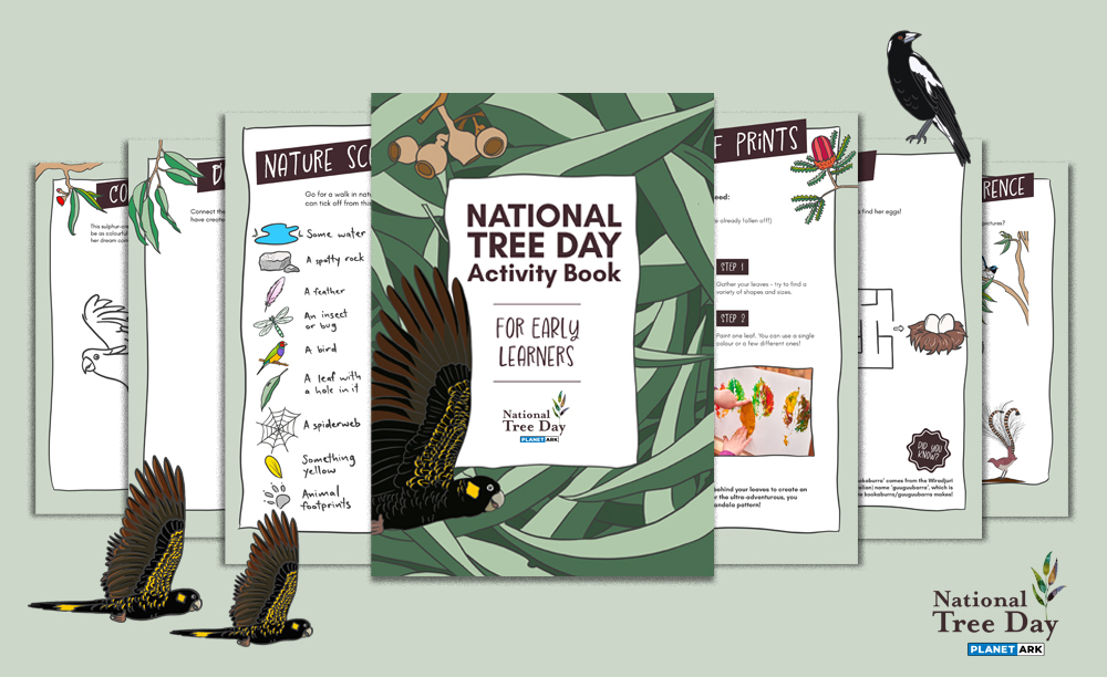 activity-book