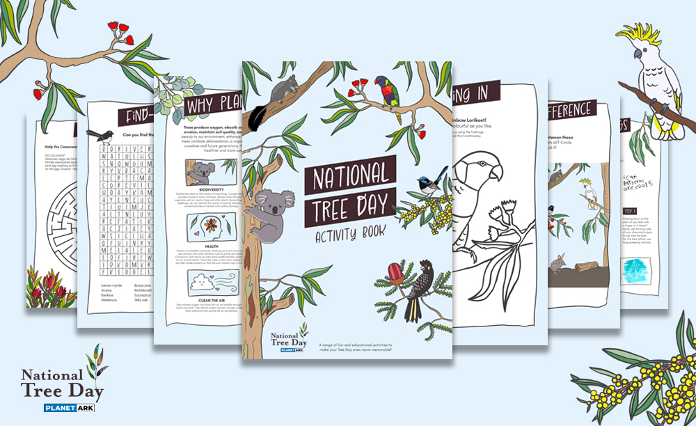 activity-book