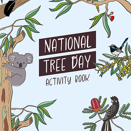 activity-book
