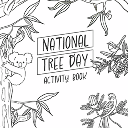 activity-book