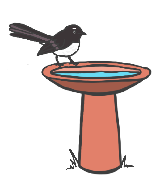 A bird bath with a willie wagtail
