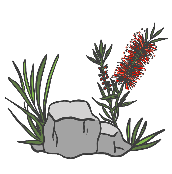 A mix of native plants and rocks