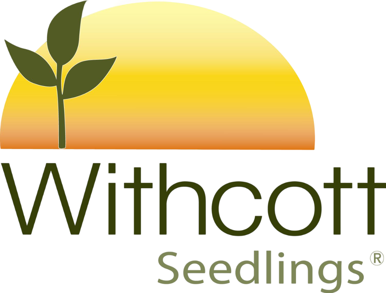 withcott